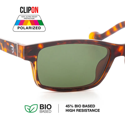 Thyssen Layer Havana